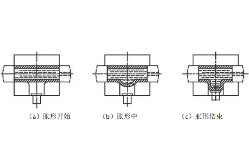 xw7.5 xw7.5